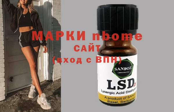 сатива Абинск