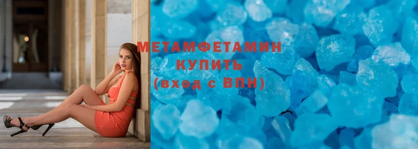 индика Вяземский