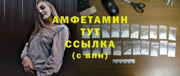 стафф Вязьма